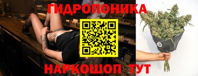 гидра Нальчик