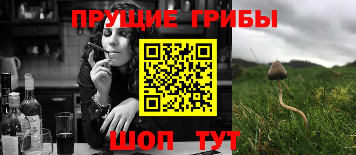 Тихвин  Галлюциногенные грибы GOLDEN TEACHER  Псилоцибиновые грибы GOLDEN TEACHER  Вход с VPN 